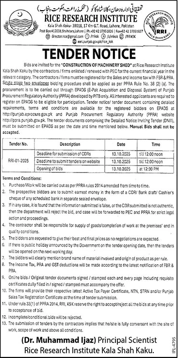 Rice Research Institute Kala Shah Kaku Tender Notice